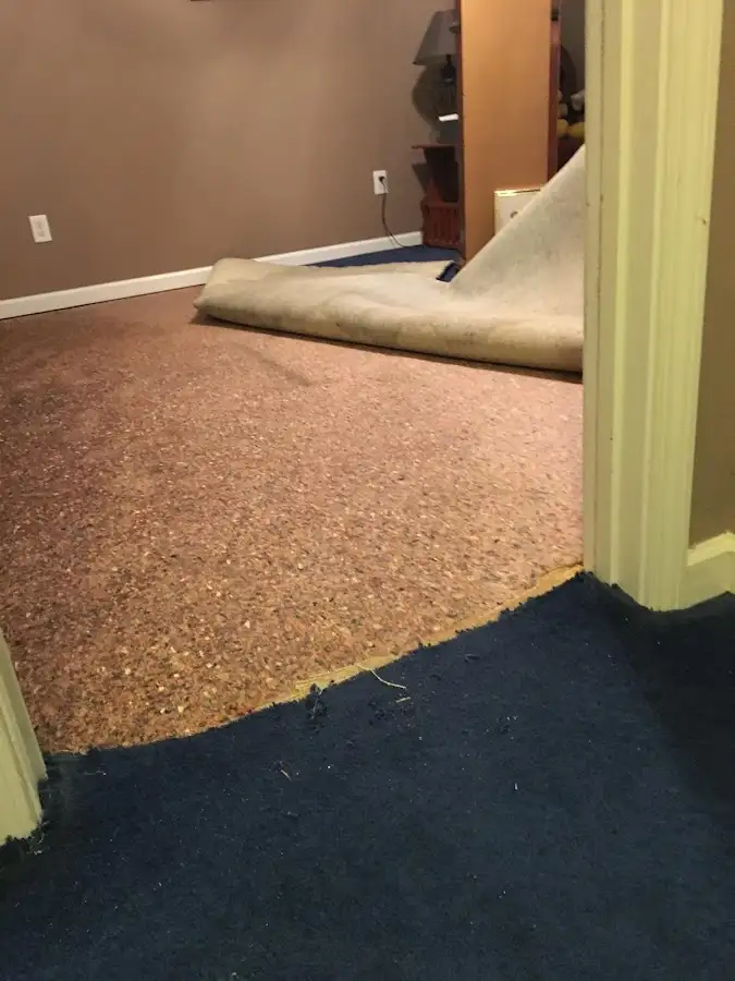 Carpet pad removal revealing water damage during Drying & Dehumidification in Fountain