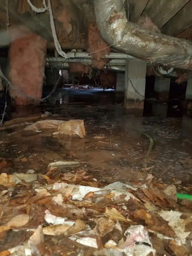 Crawl space flood assessment for Leak Detection & Repair in Fountain
